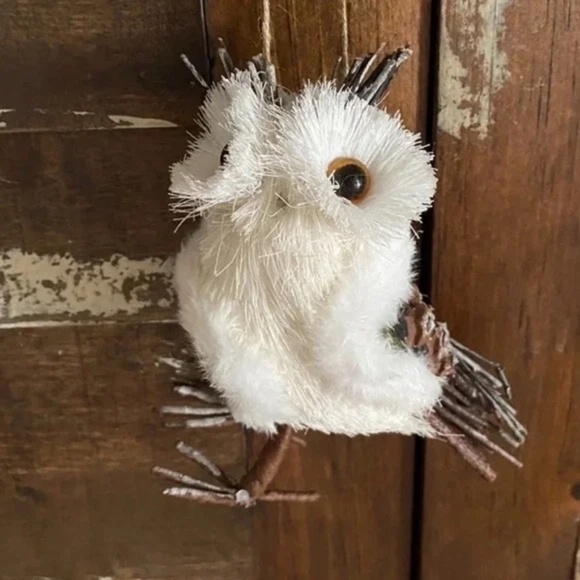 Anthropologie Other - NWOT Anthropologie Set of 4 Brush Bottle Owl Christmas Ornaments Figurin…